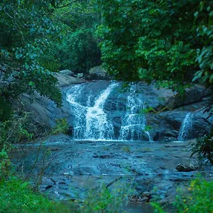 https://resort-wild-courtyard.kerala-hotels.net